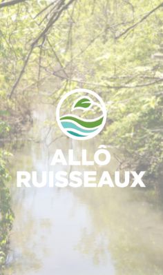 Logo superposé Allô Ruisseaux