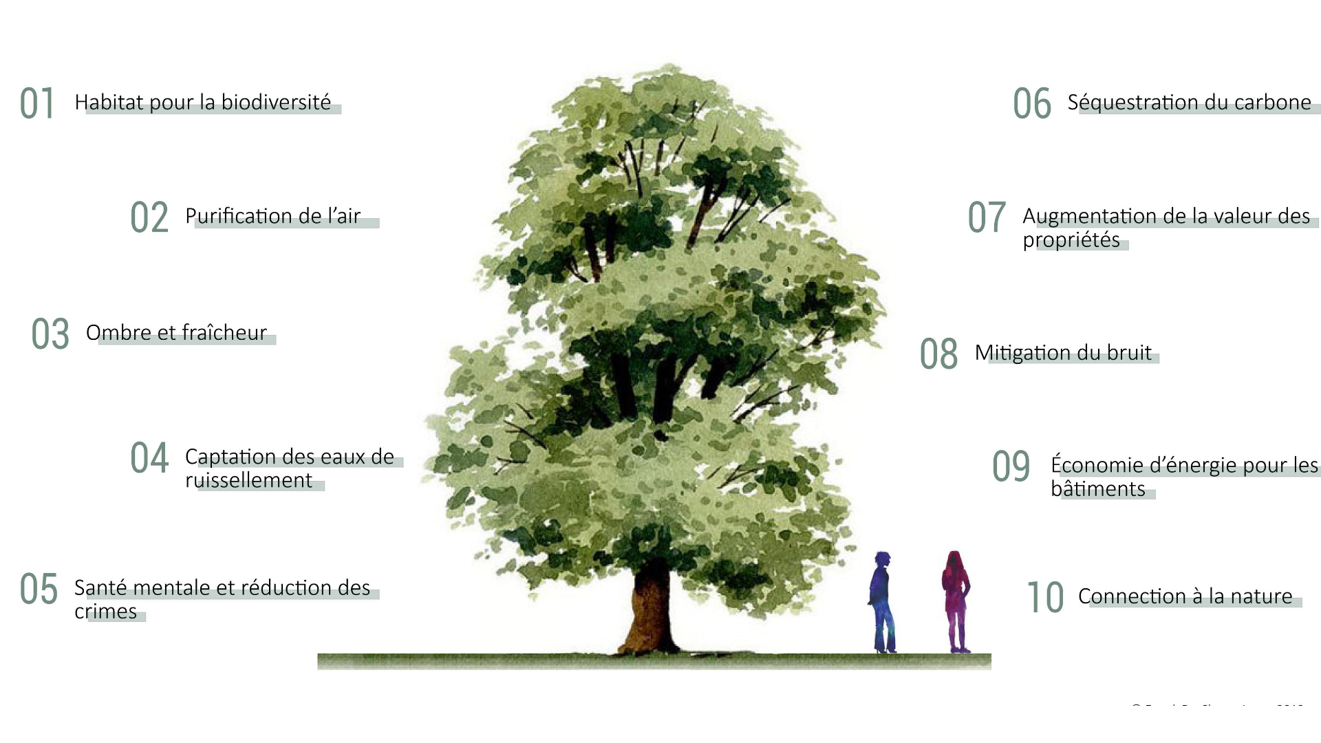 Le programme \