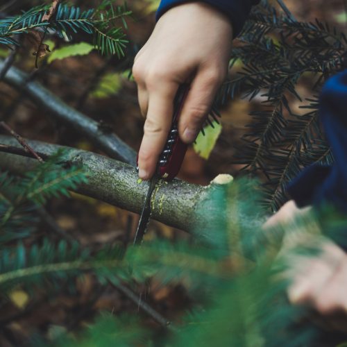 markus-spiske-gZeE8HEapXY-unsplash-500x500