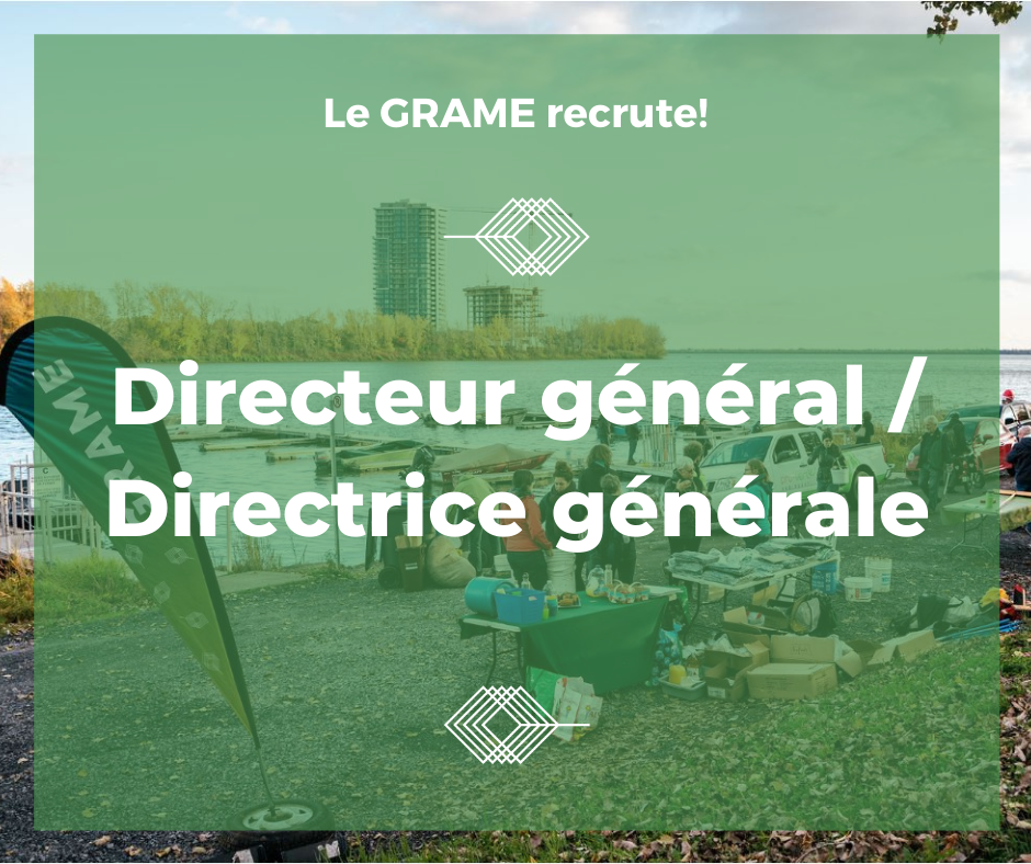 Directeur général / directrice générale