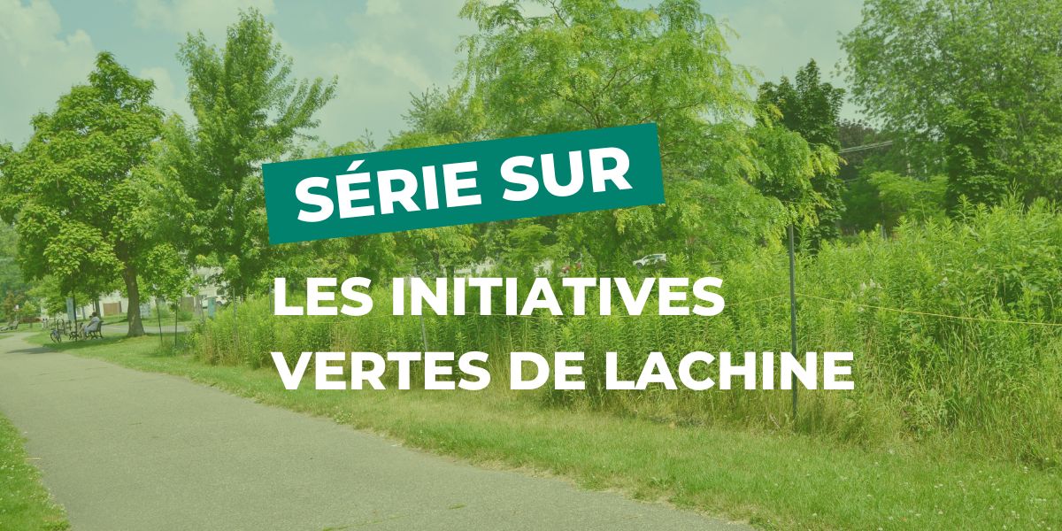 Initiatives vertes de Lachine : écran végétal