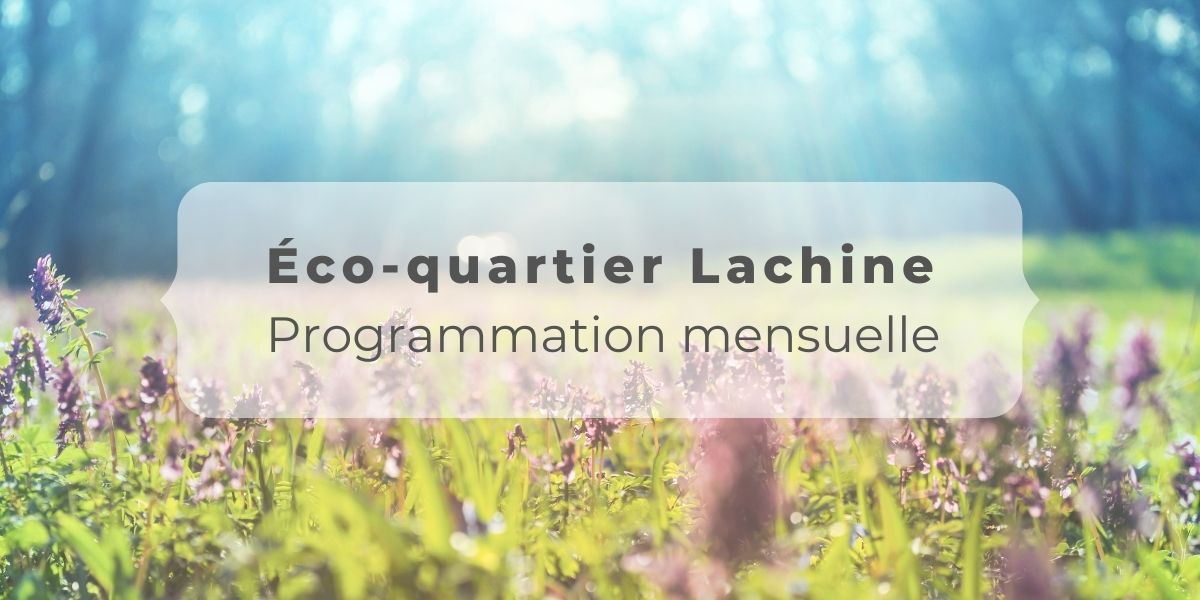 Header article programmation mensuelle