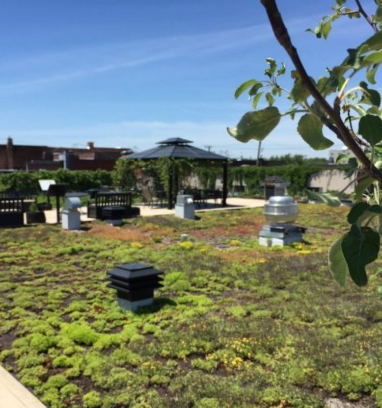 jardins collectifs
