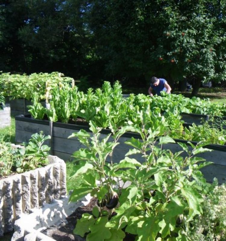 jardins collectifs(1)