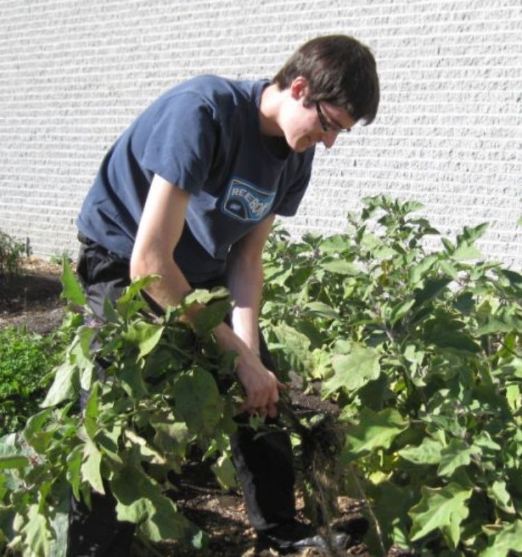 jardins collectifs(2)