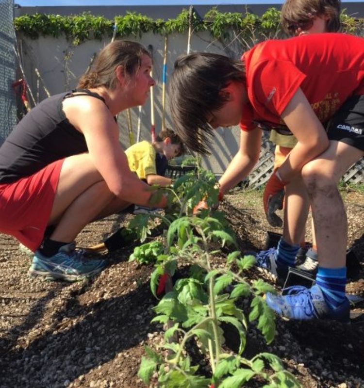 jardins collectifs(4)