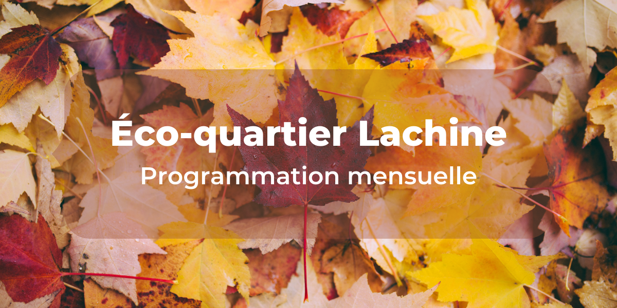 Éco-quartier Lachine : Programmation octobre 2022