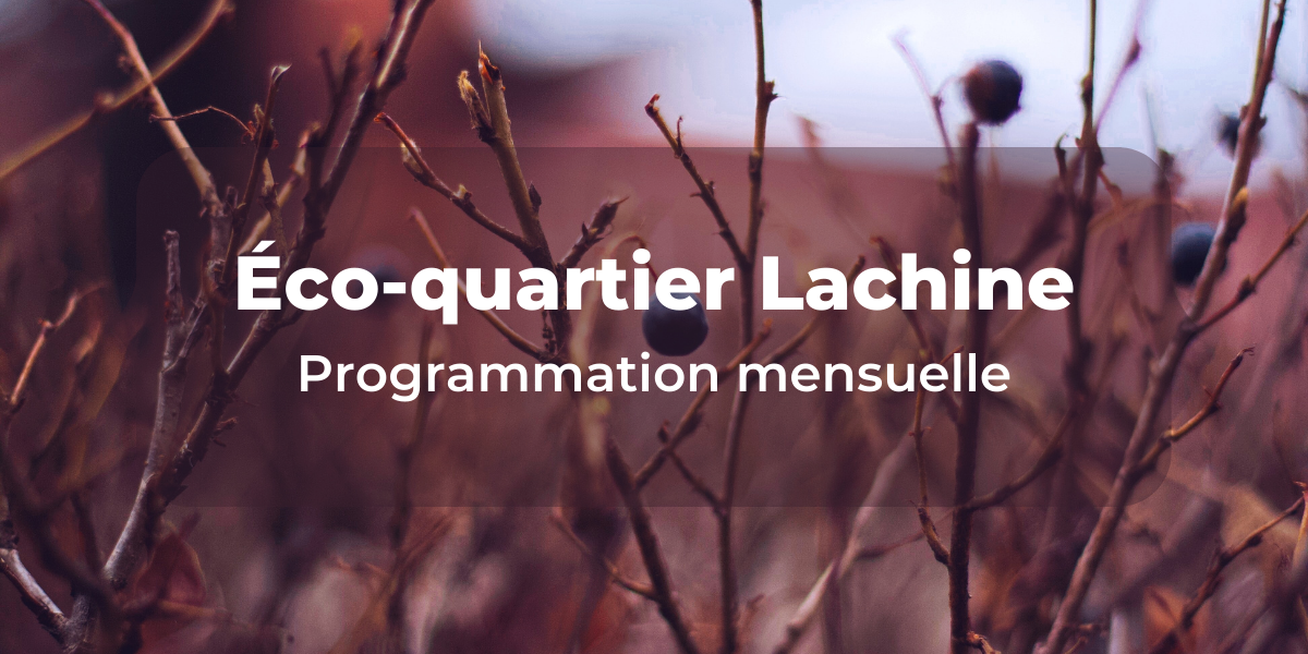 Éco-quartier Lachine : Programmation novembre 2022