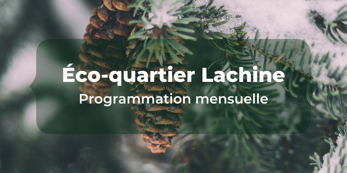 Éco-quartier Lachine : Programmation décembre 2022