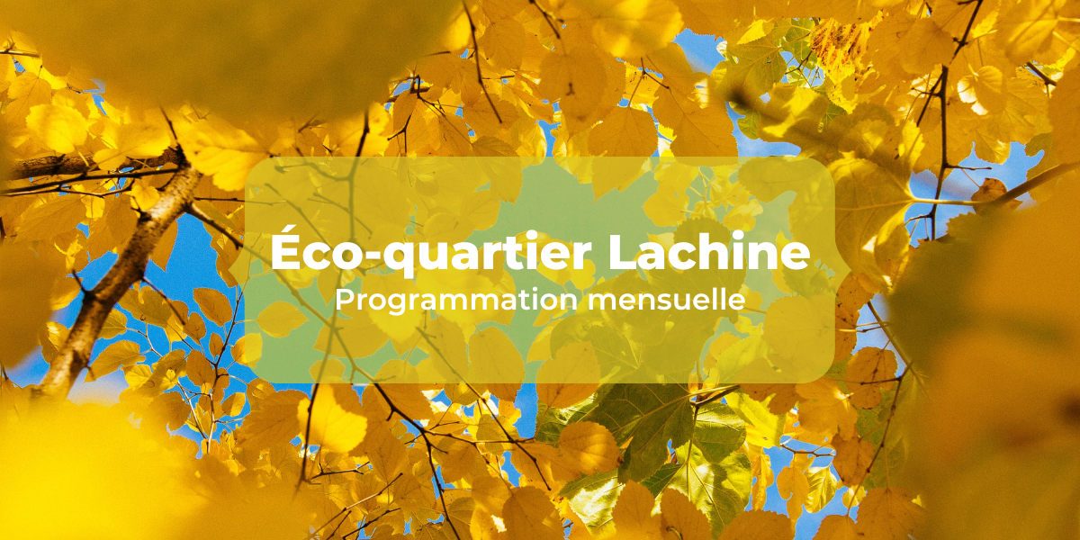 Éco-quartier Lachine : Programmation septembre 2022