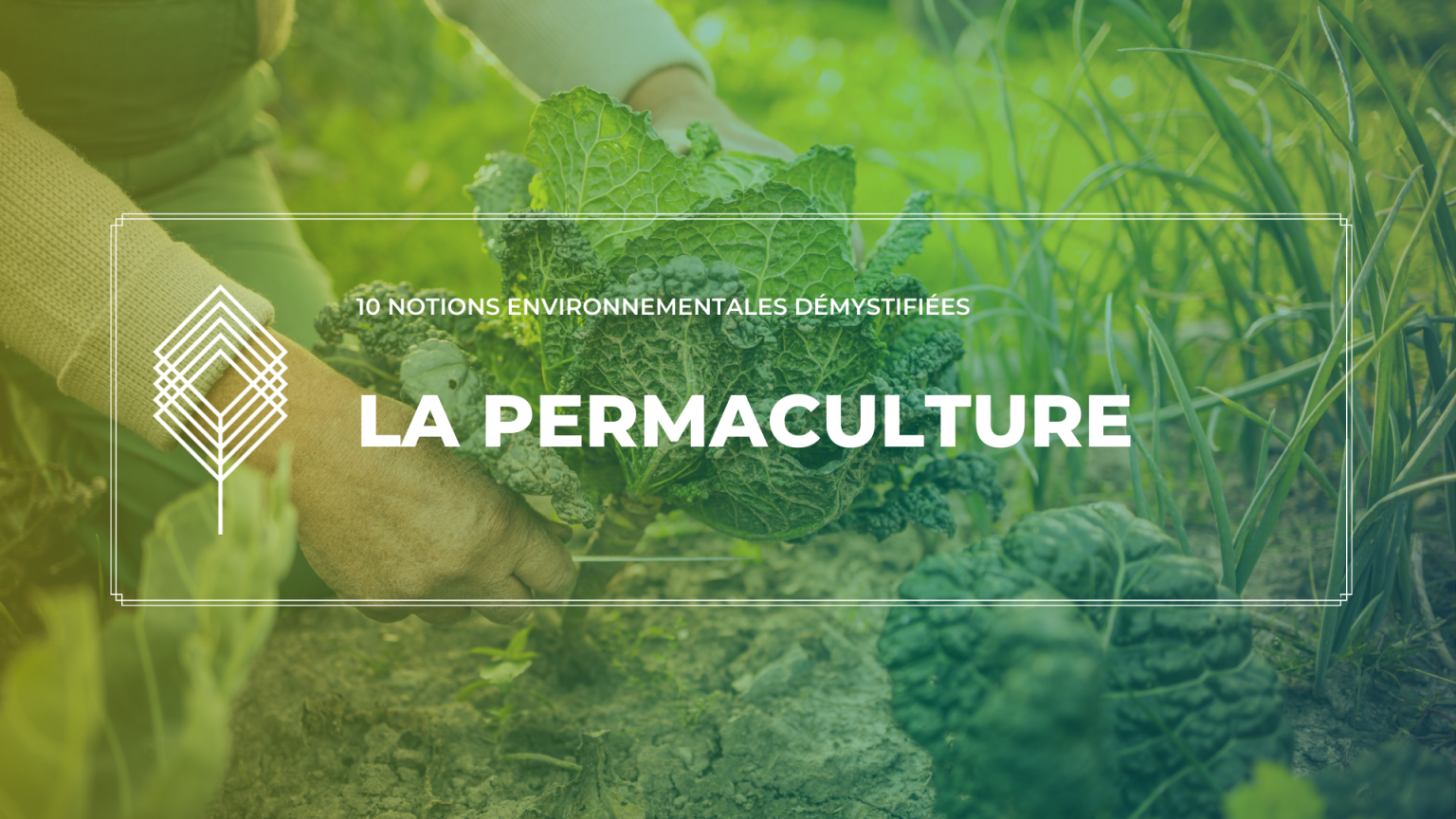 La permaculture : imiter la nature pour mieux la préserver