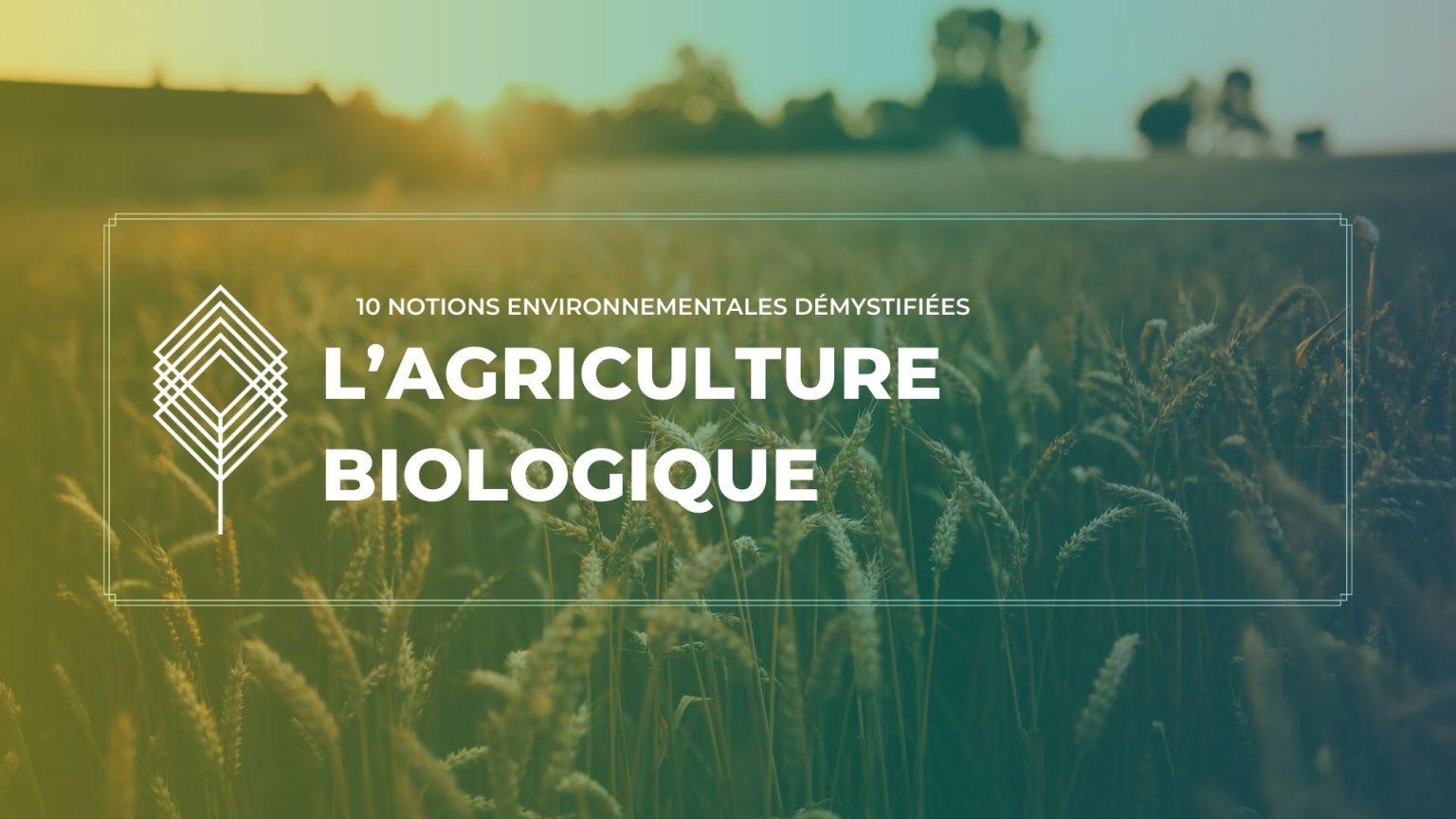 L’agriculture biologique : cultiver et manger au naturel