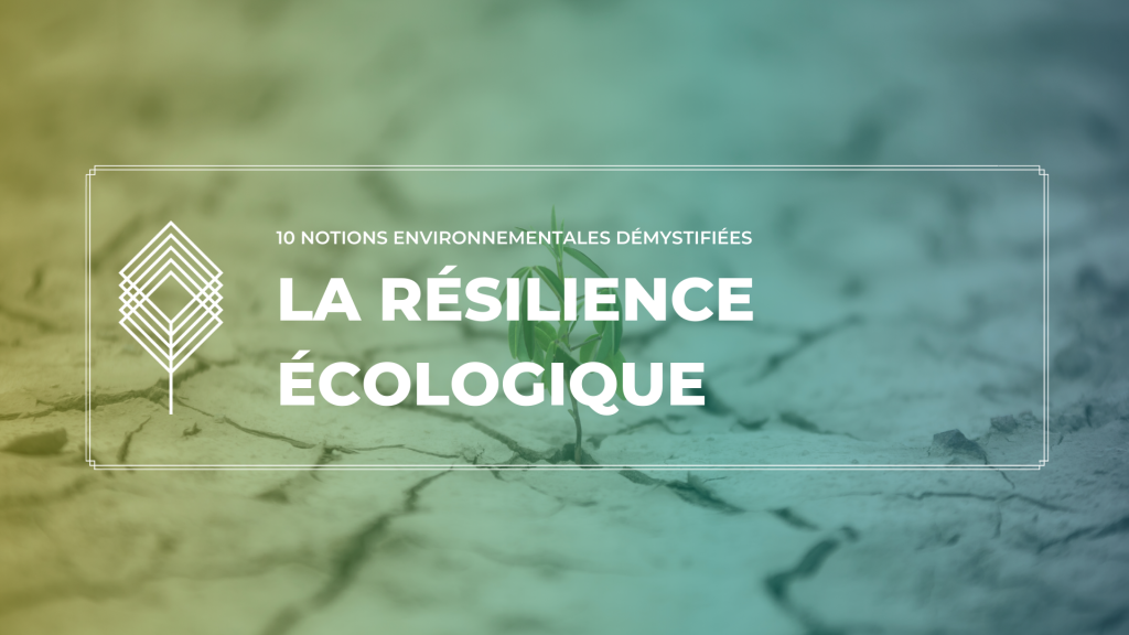 10-notions-resilience-ecologique