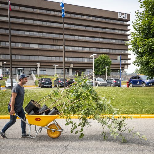 CLIENT: BellLieu : Campus Bell à DorvalÉvénement : Plantation d'arbres des employésDate : 74 juin 2018Éric Carrière EricCarriere.ca514-569-9561