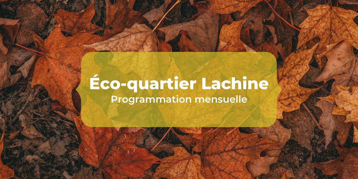 Éco-quartier Lachine : Programmation 2023