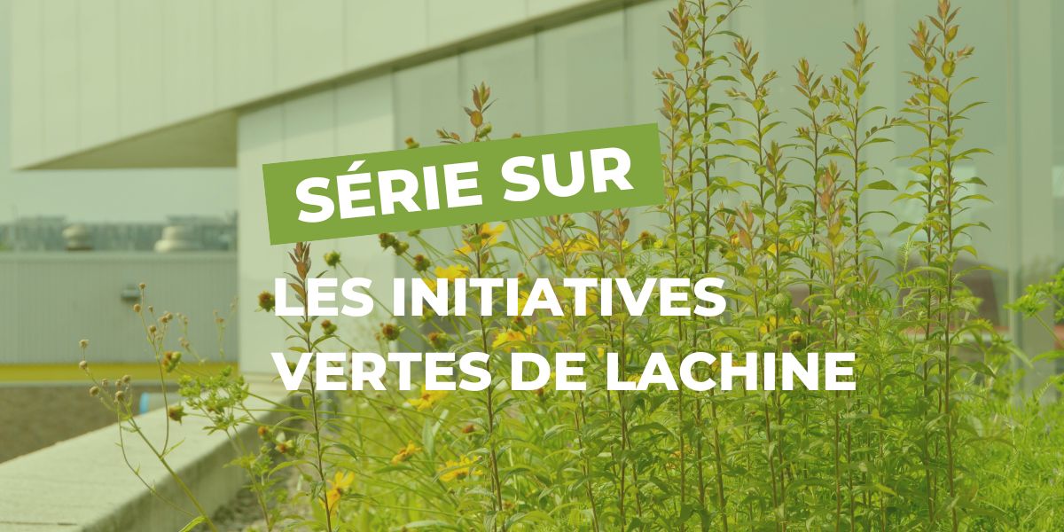 Initiatives vertes de Lachine : la Bibliothèque Saul-Bellow