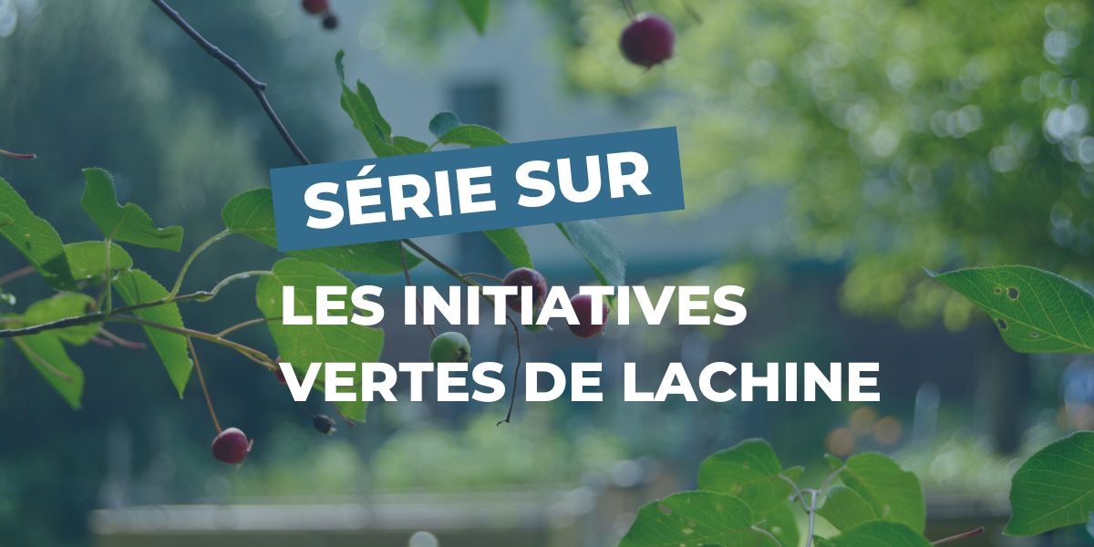 Initiatives vertes de Lachine : jardin du Triangle Fleuri