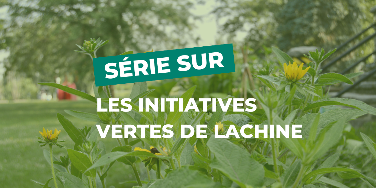 Initiatives vertes de Lachine : le Musée de Lachine