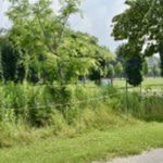 bilan écran végétal 3