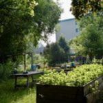 jardin triangle fleuri
