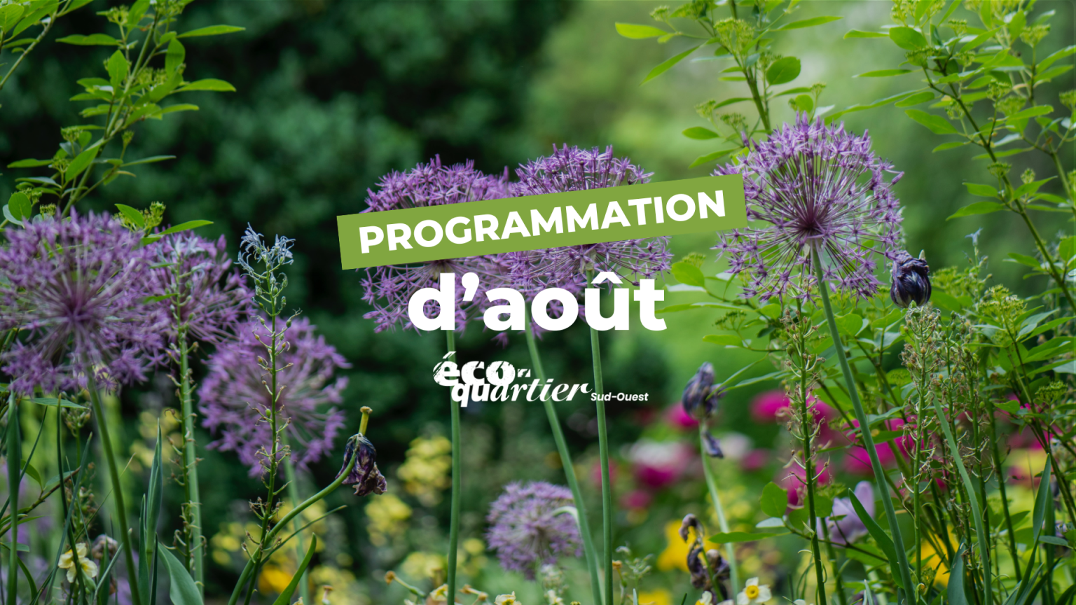 Programmation Éco-quartier Sud-Ouest : Août