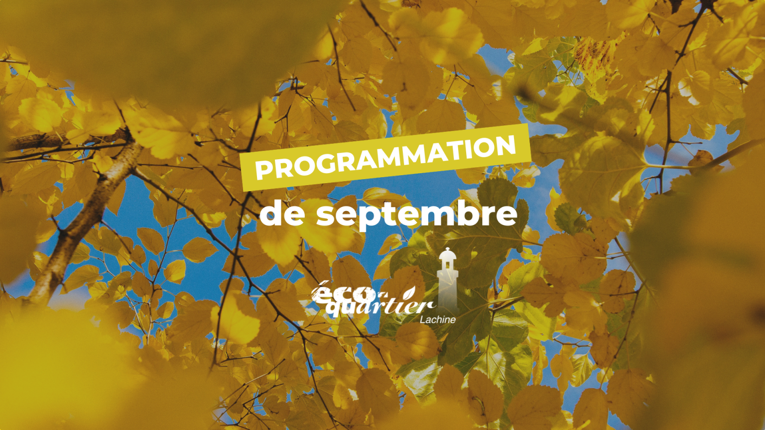 Programmation Éco-quartier Lachine : Septembre