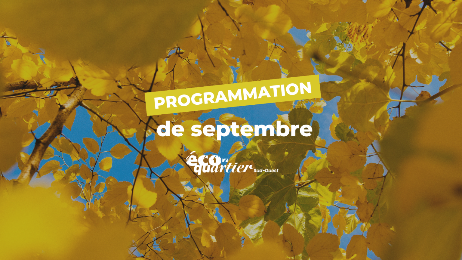 Programmation Éco-quartier Sud-Ouest : Septembre