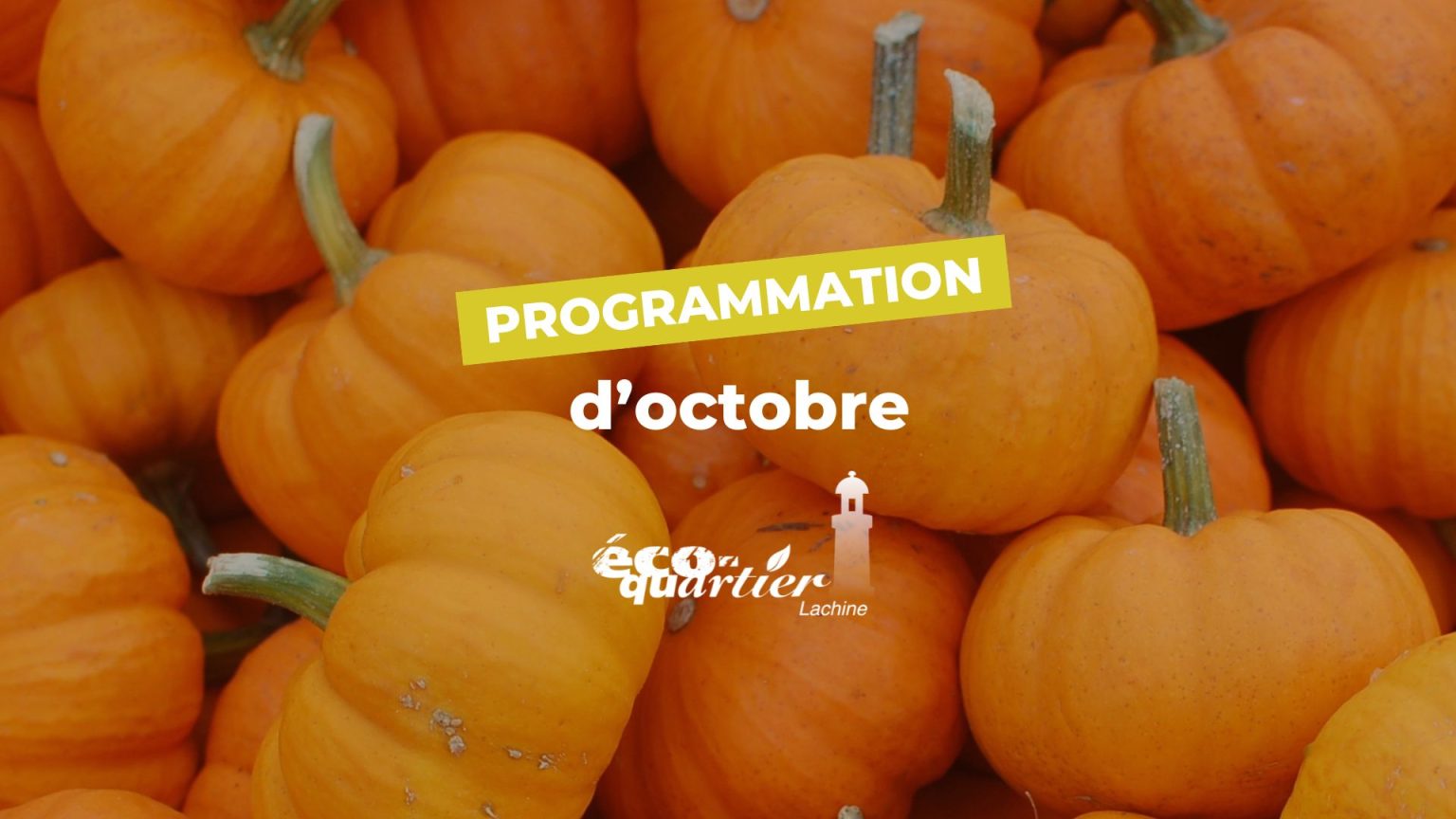 Programmation Éco-quartier Lachine : Octobre