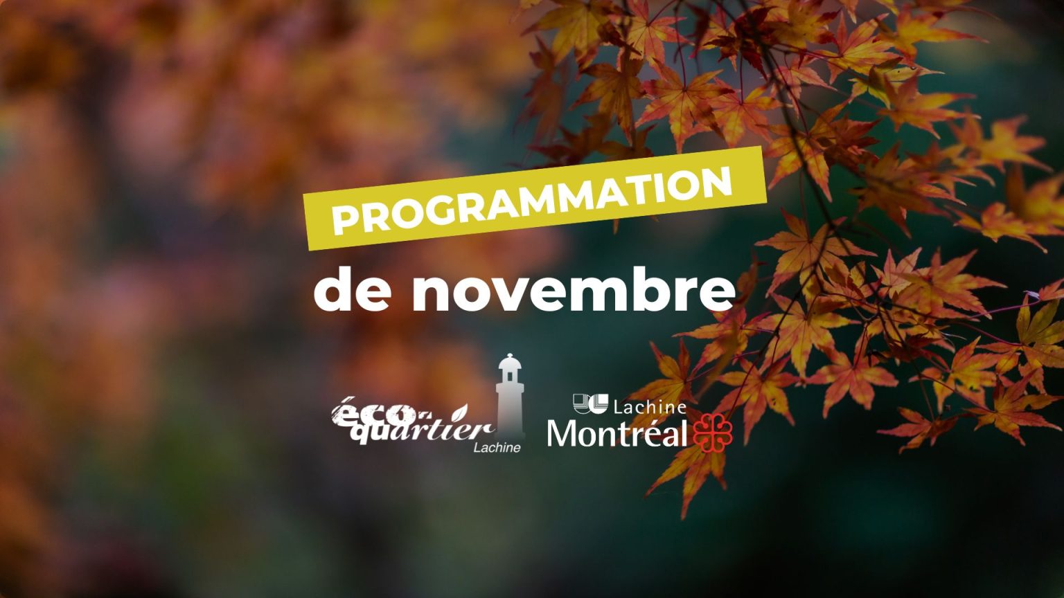 Programmation Éco-quartier Lachine : Novembre