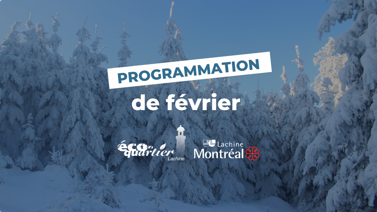 Programmation Éco-quartier Lachine : Février