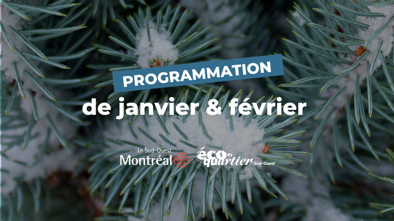 Programmation Éco-quartier Sud-Ouest : Janvier & Février