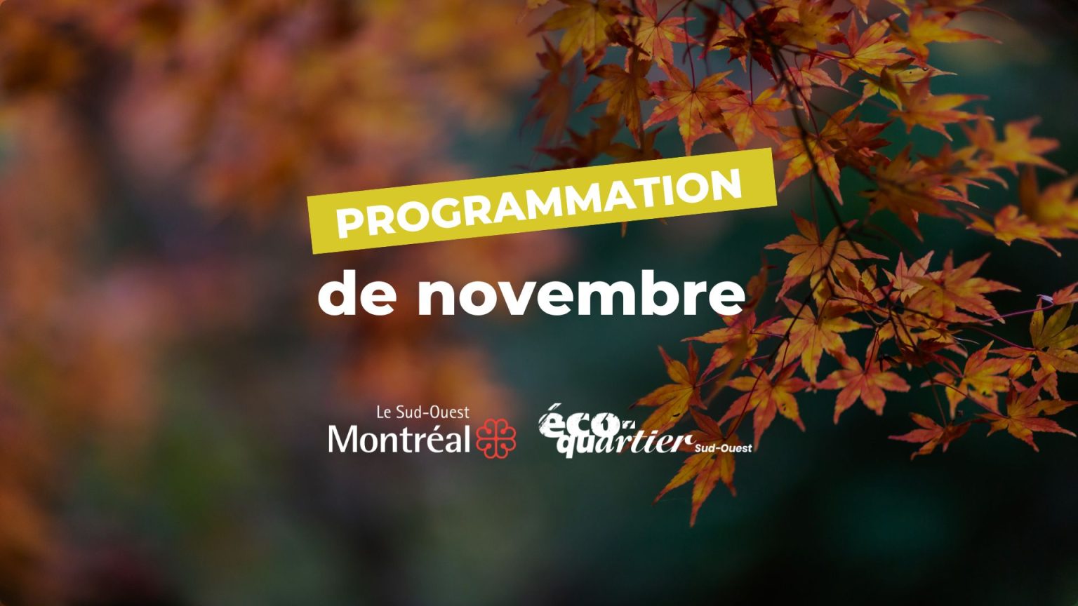 Programmation Éco-quartier Sud-Ouest : Novembre