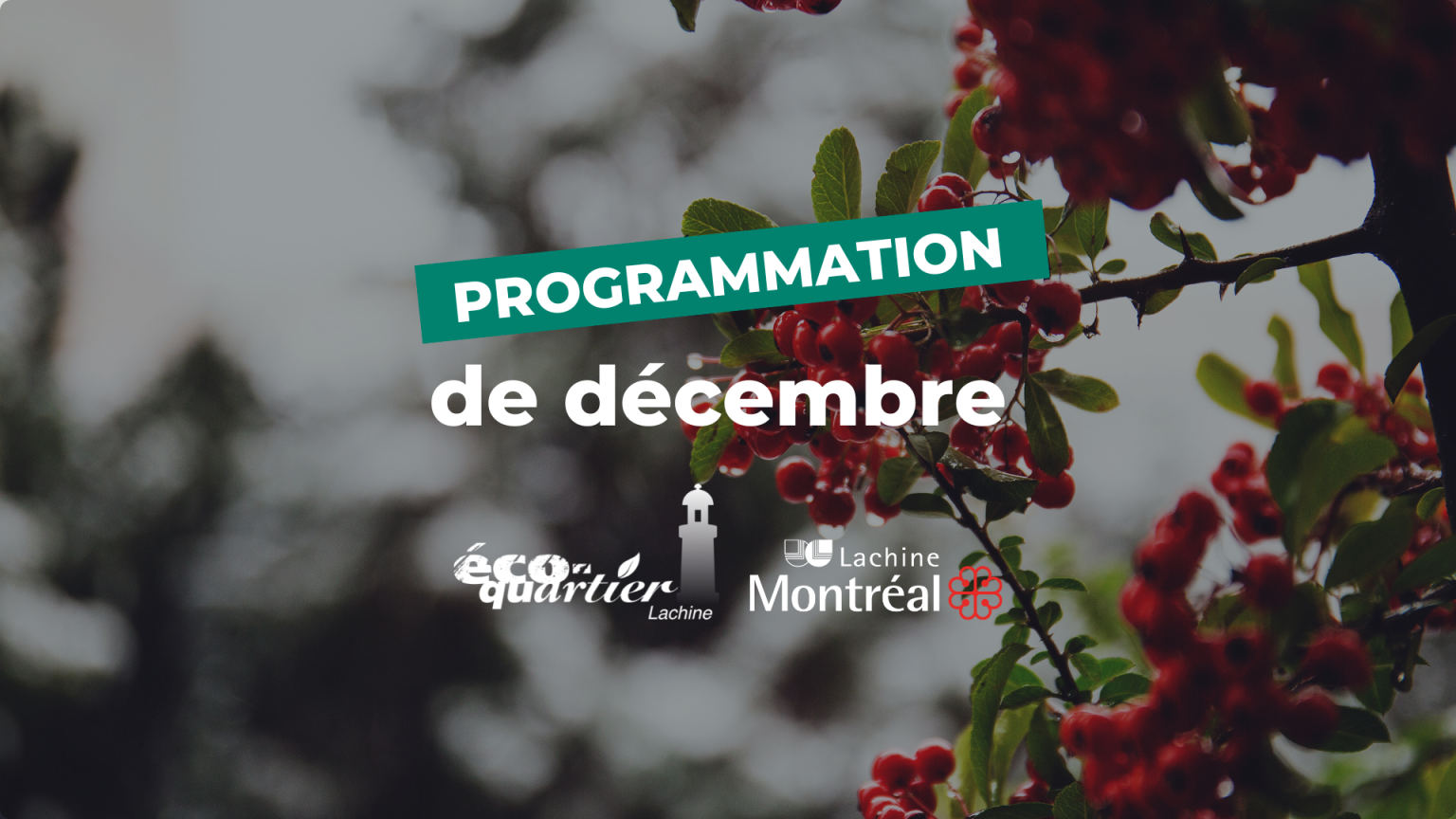 Programmation Éco-quartier Lachine : Décembre