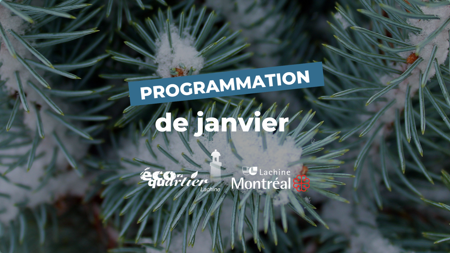 Programmation Éco-quartier Lachine : Janvier