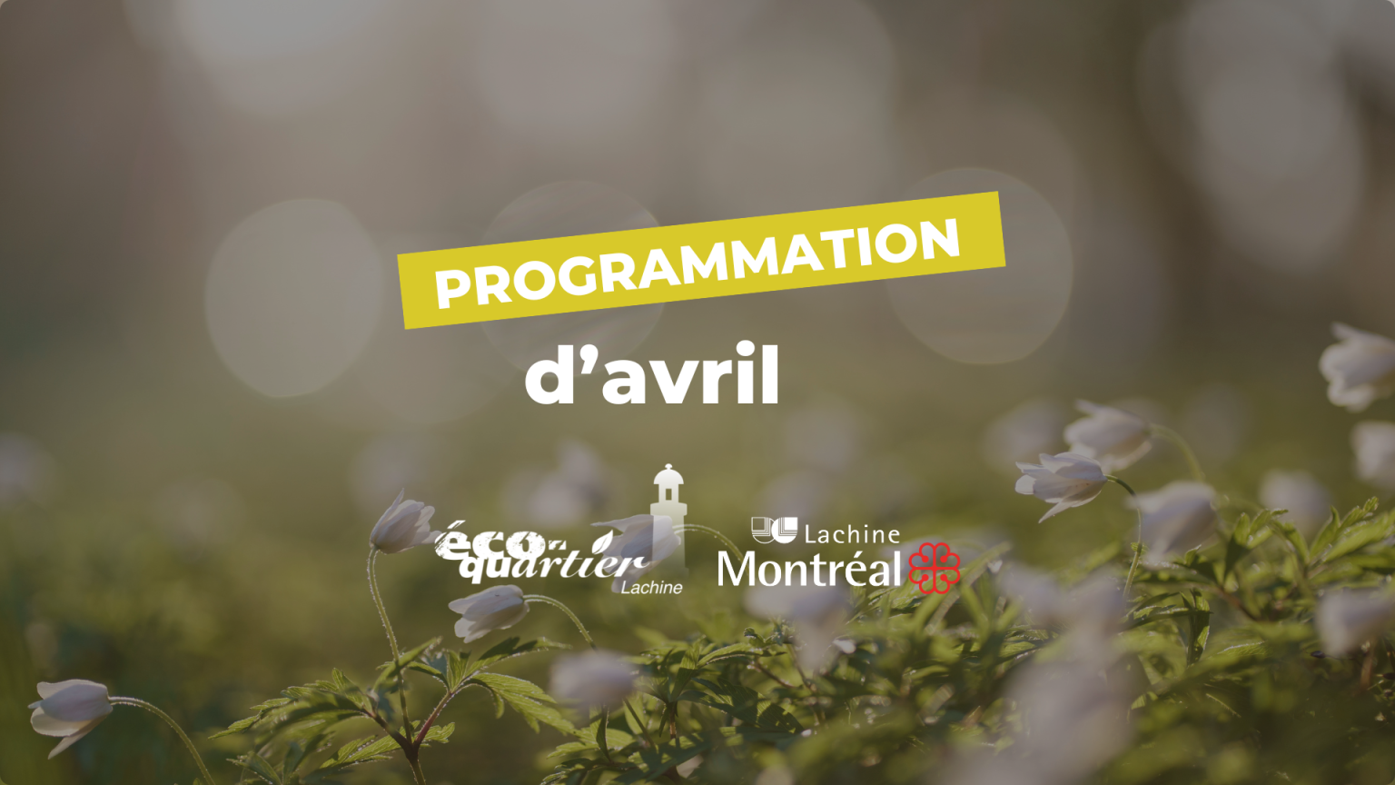 Programmation Éco-quartier Lachine : Avril