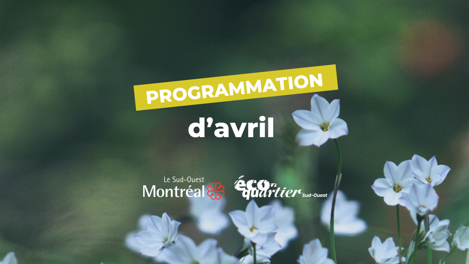 Programmation Éco-quartier Sud-Ouest : Avril