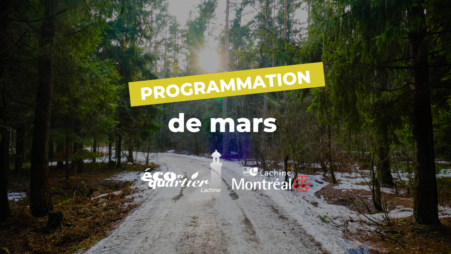 Programmation Éco-quartier Lachine : Mars