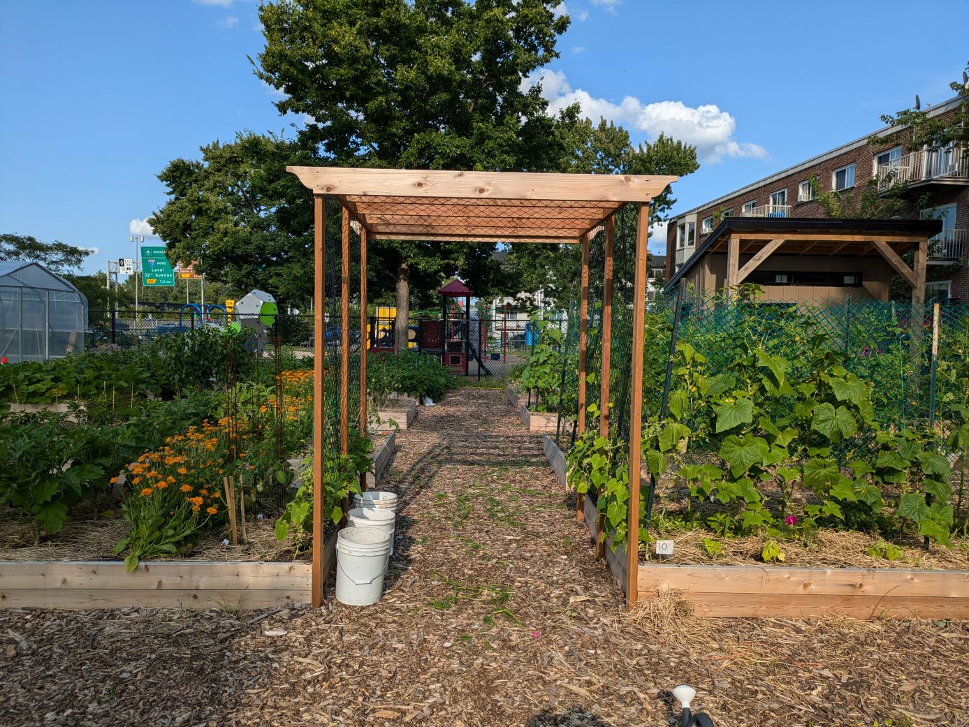 Cultiver la collectivité : une année de transformation au jardin collectif de Dorval