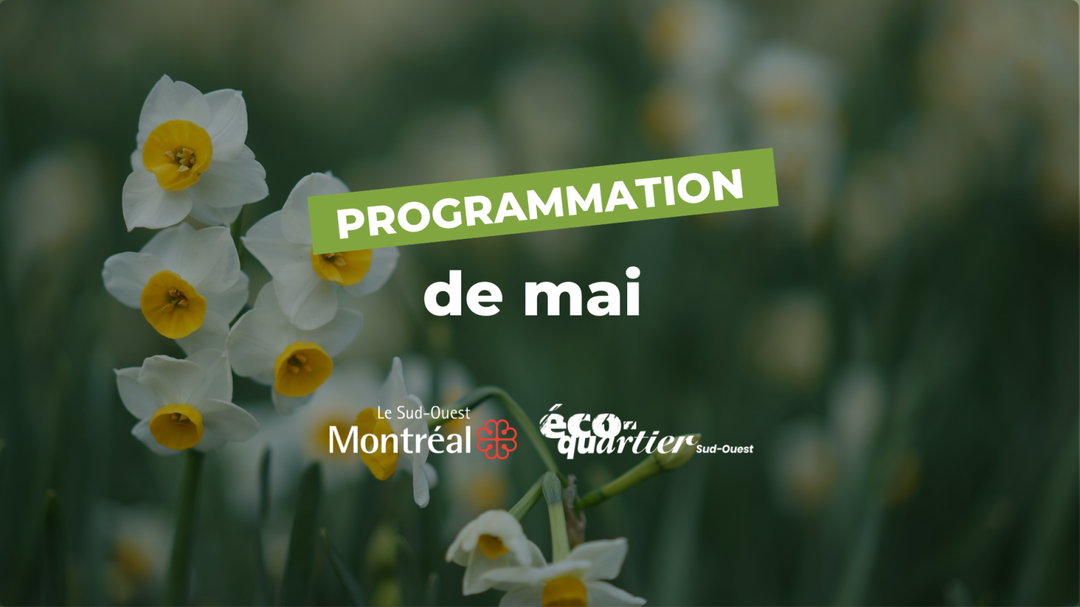 Programmation Éco-quartier Sud-Ouest : Mai