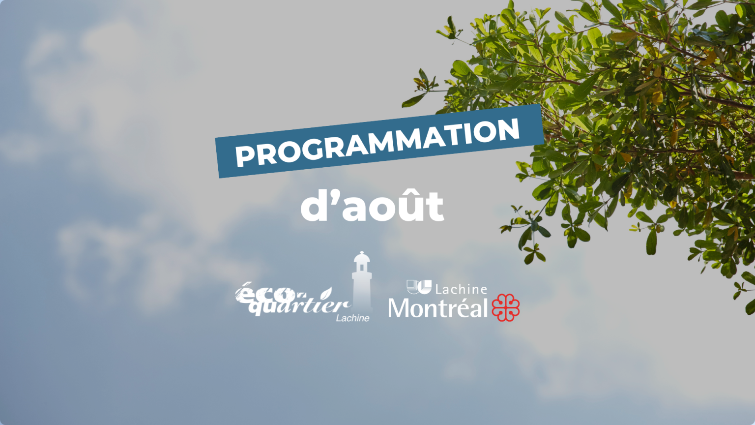 Programmation Éco-quartier Lachine : Août