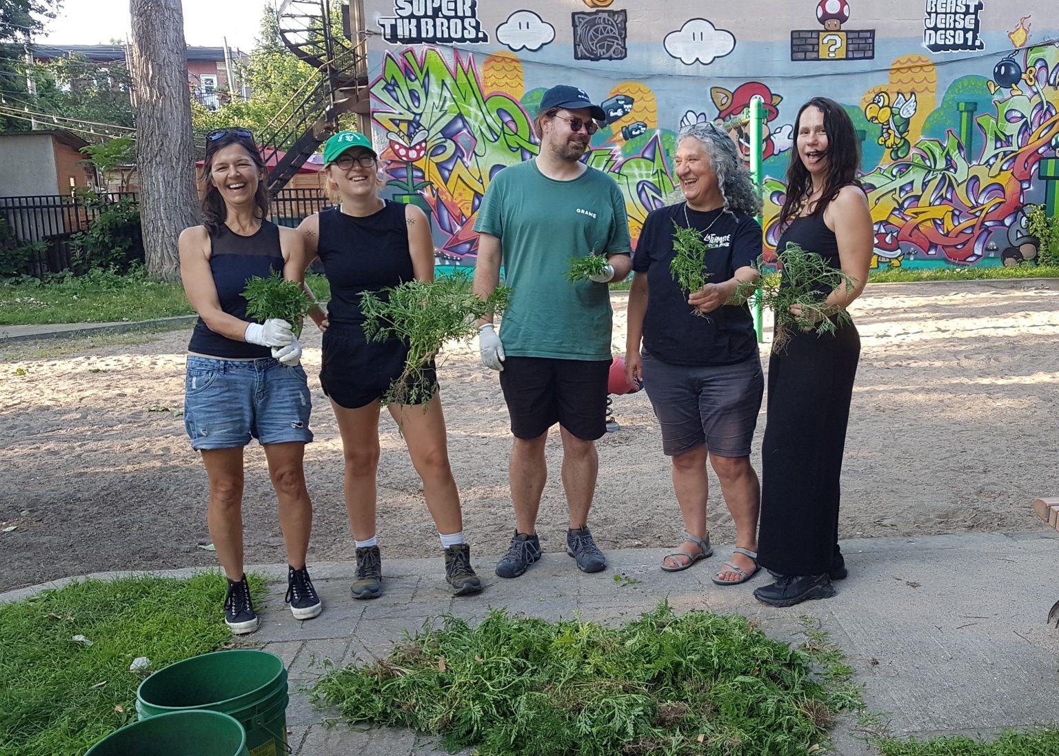 Connaître l’herbe à poux pour mieux s’en débarrasser