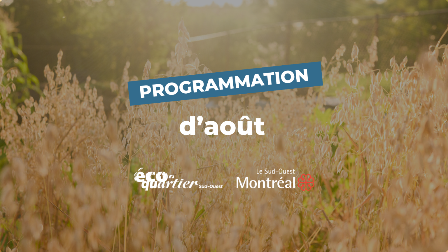 Programmation Éco-quartier Sud-Ouest : Août