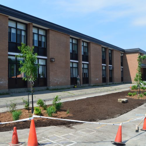 plantation-SA_0495