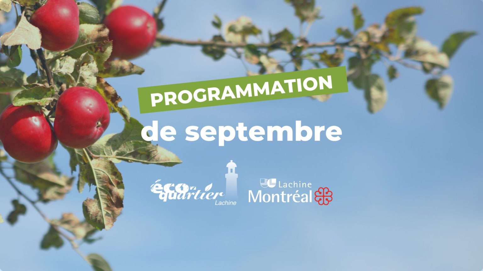 Programmation Éco-quartier Lachine : Septembre