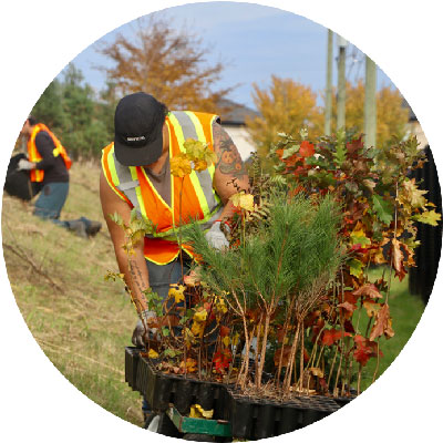 cercle_verdissement-mesure