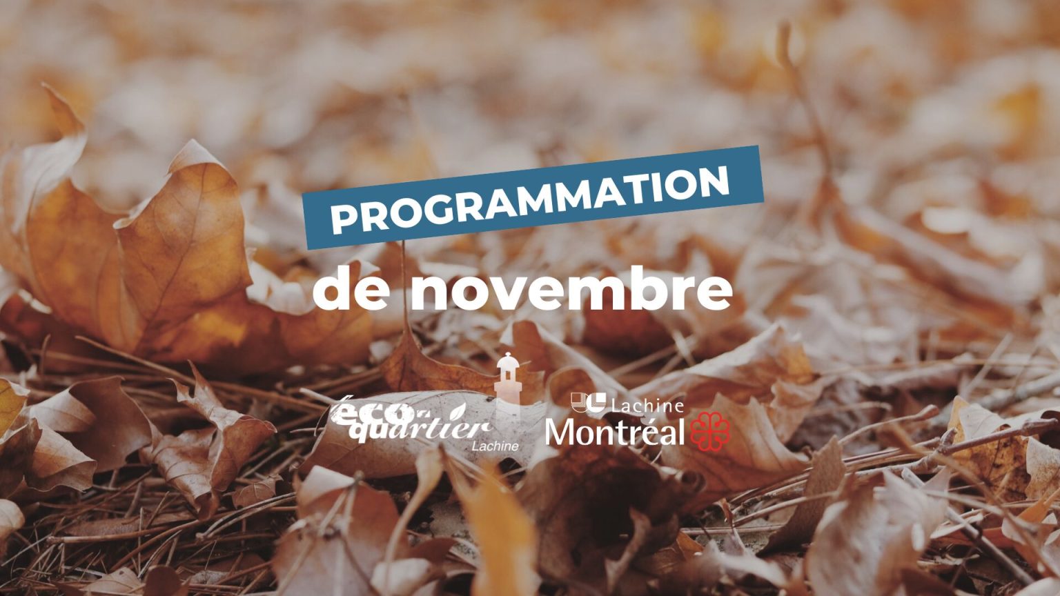Programmation éco-quartier Lachine : Novembre