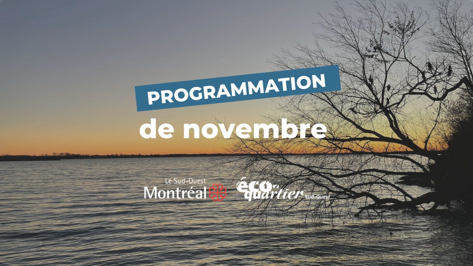 Programmation éco-quartier Sud-Ouest : Novembre