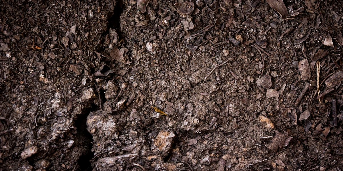 Compostage ou biométhanisation : la valorisation des résidus organiques