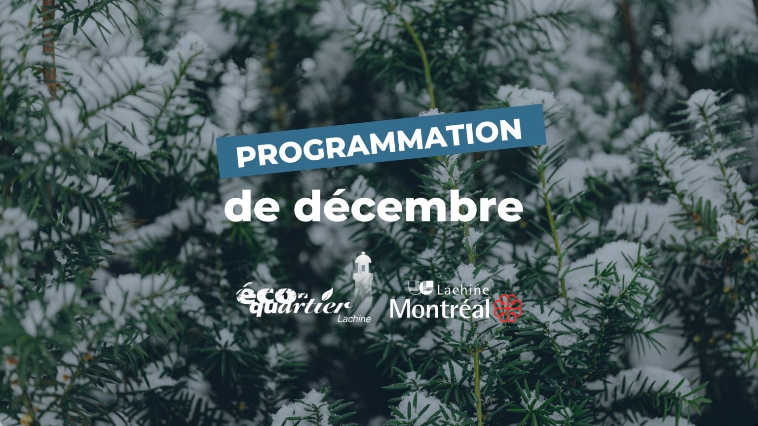 Programmation éco-quartier Lachine : Décembre