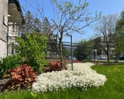 thumbnail_IMG_8280-Caroline-Arel